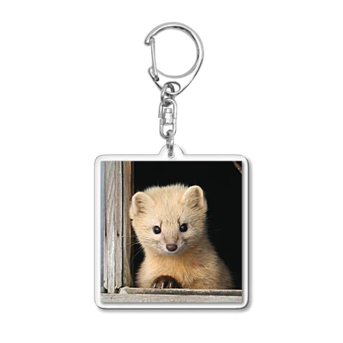 【GOOD LUCK】サロベツのエゾクロテン Acrylic Key Chain