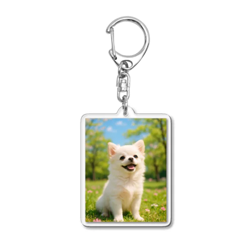 春のおさんぽ日和｜ポメチワのスマイルグッズセット（Tシャツ・雑貨・クッションなど） Acrylic Key Chain