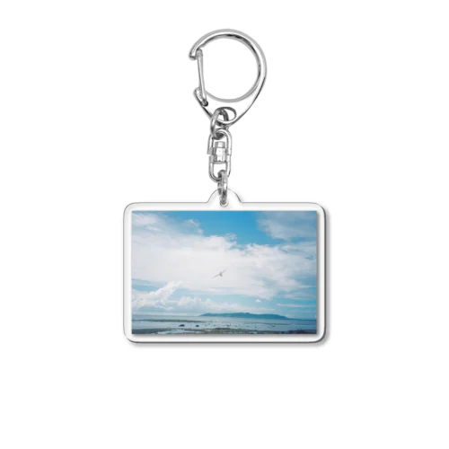 アジサシ Acrylic Key Chain