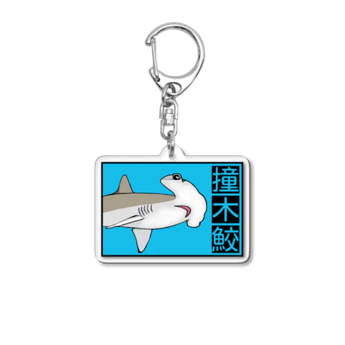 撞木鮫(シュモクザメ) Acrylic Key Chain