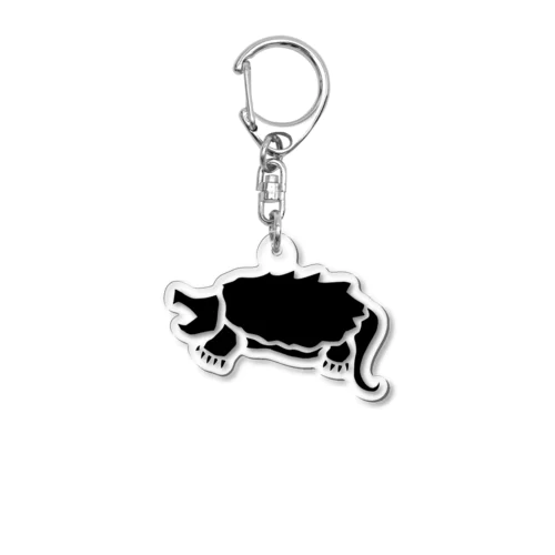 ワニガメ Acrylic Key Chain