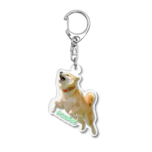 HopStepInubot Acrylic Key Chain