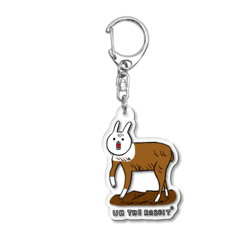 岩山にいるアレ Acrylic Key Chain