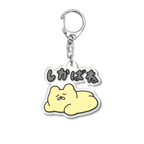 チャンミー店(ショップ) ( chanmedesu )のオリジナルグッズ