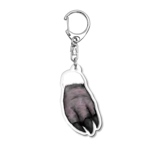 ペンギンの足 Acrylic Key Chain