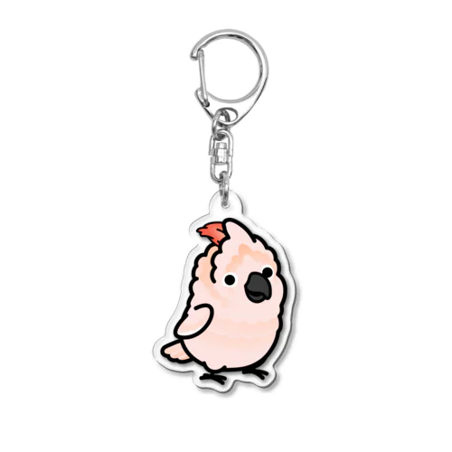 Chubby Bird オオバタン Acrylic Key Chain