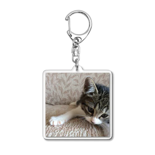 こねこのパル～南の島のにゃんこ～ Acrylic Key Chain