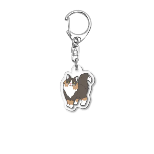 のるうぇーじゃんきゃっと Acrylic Key Chain