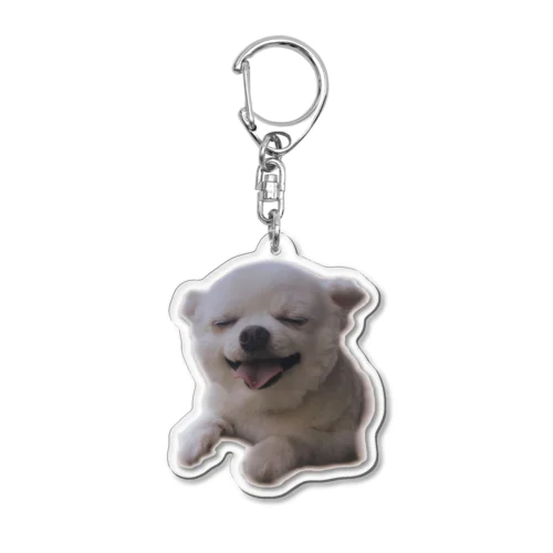 丸めの犬 Acrylic Key Chain