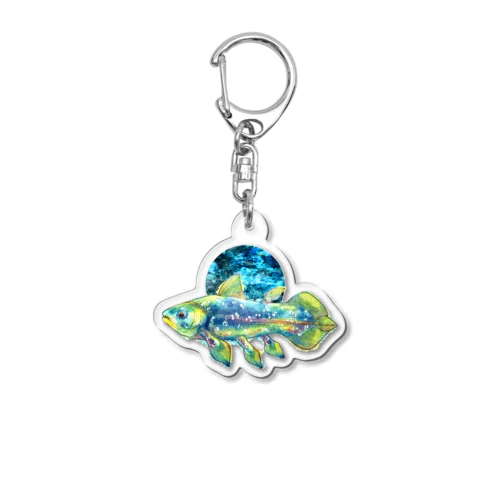 シーラカンス Acrylic Key Chain