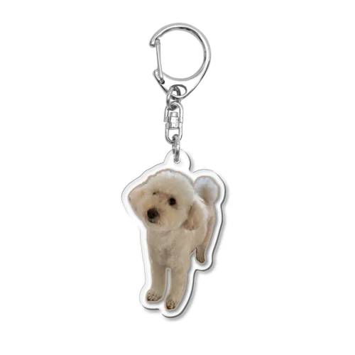 トイプードルのオラフ Acrylic Key Chain