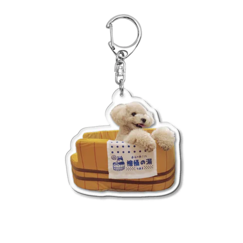 トイプードル　ジャガ一ドワンピース　グレーオンライン限定品 アイテム詳細