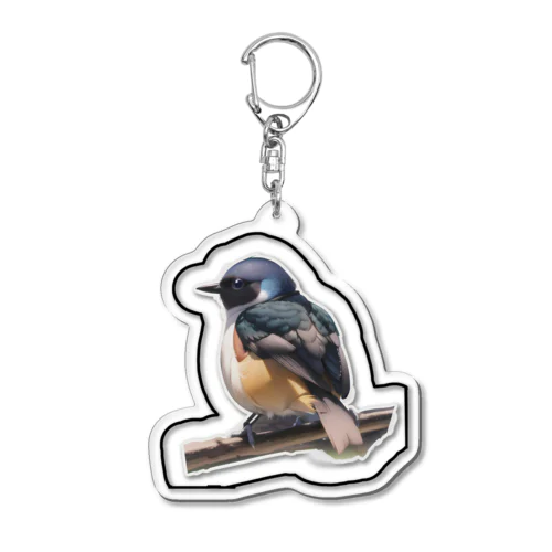 魅力あふれるジョウビタキのオス Acrylic Key Chain