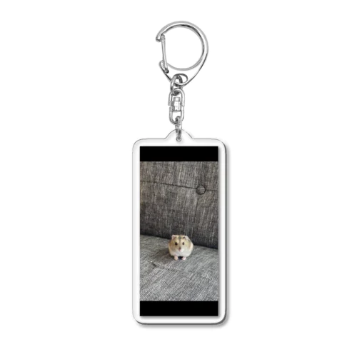 たーさん Acrylic Key Chain