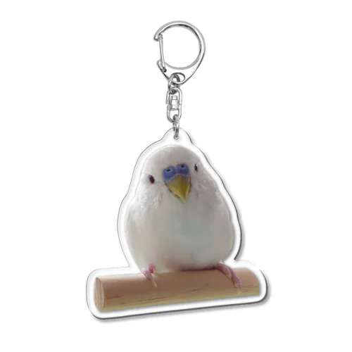 ゆるフワぺんちゃん Acrylic Key Chain
