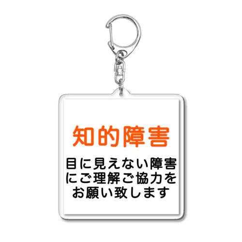 知的障害　目に見えない障害 Acrylic Key Chain