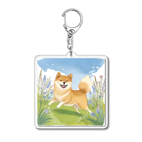柴犬のお散歩 Acrylic Key Chain