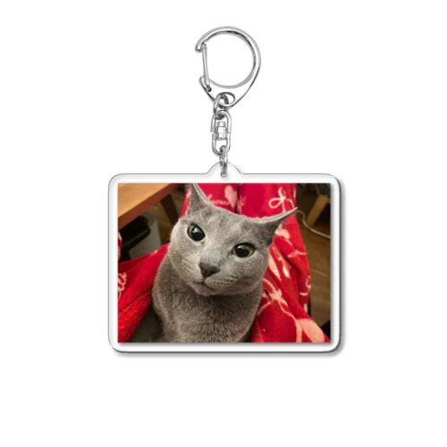 TikTokのアイコングッズ Acrylic Key Chain