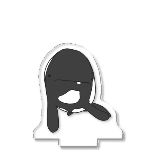 イロワケイルカのせーちゃん Acrylic Stand