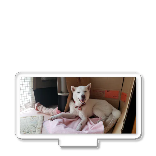 仁八 Acrylic Stand