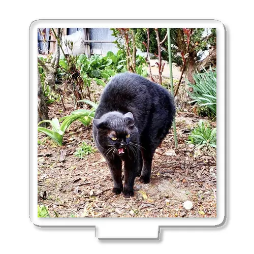 ガチギレねこ Acrylic Stand