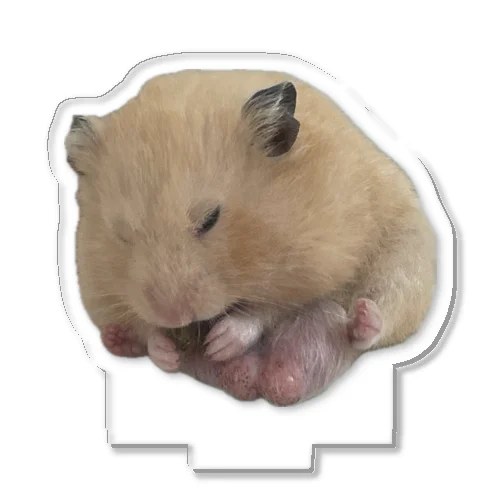 もぐもぐだいず Acrylic Stand