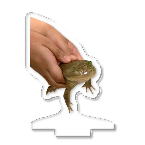 バジェットガエル  たぴさん Acrylic Stand