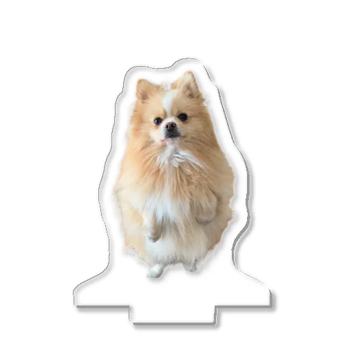 立ちルディ Acrylic Stand