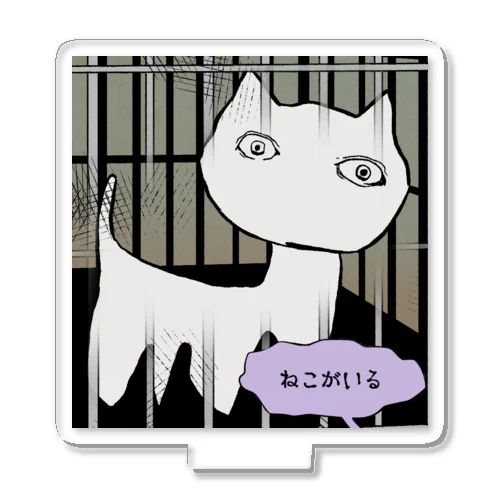 黒ねこです。 hqdefault.jpg