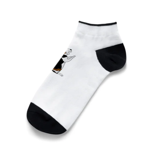 ビーグルちゃん Ankle Socks