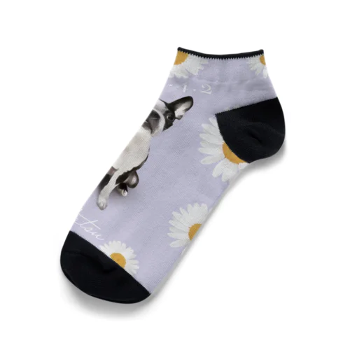 Boston terrier② Ankle Socks
