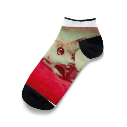 三毛猫ココのくるぶしそっくす Ankle Socks