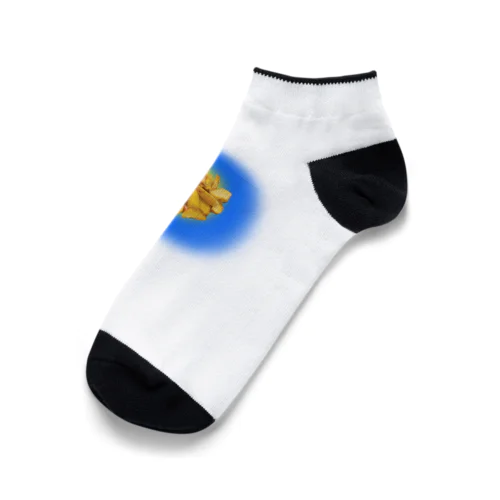 足からﾎﾟﾃﾄ!! Ankle Socks