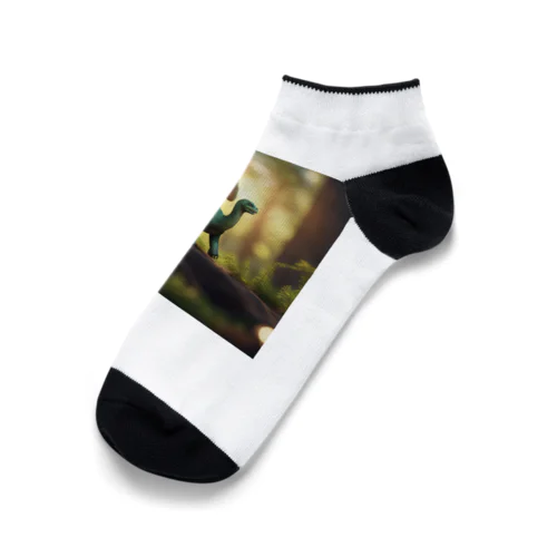 アパトサウルス Ankle Socks