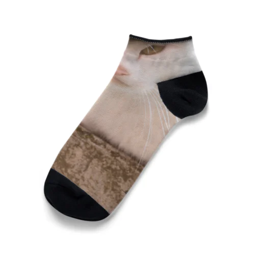 真正面相対野良ネコ Ankle Socks