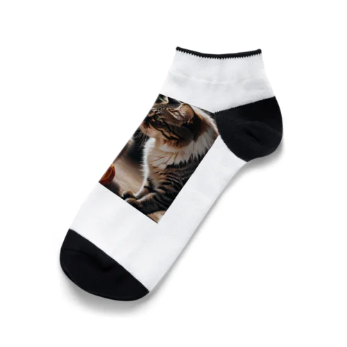 子猫の相談 Ankle Socks