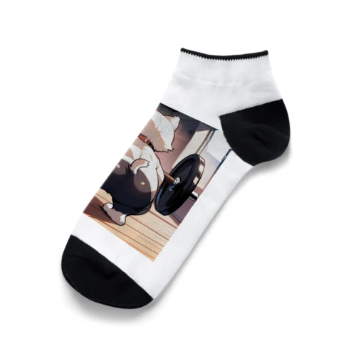 まだいけそうニャー😸 Ankle Socks