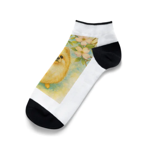 ポメラニアンとハナミズキ Ankle Socks