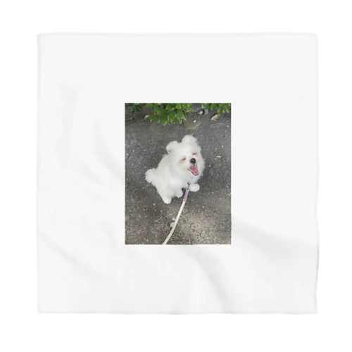 マフィロン　あくび Bandana