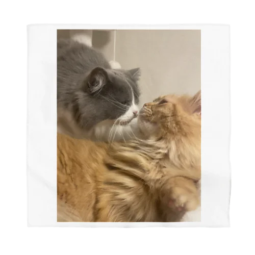 短足マンチカンのアルトくんとウルちゃん Bandana