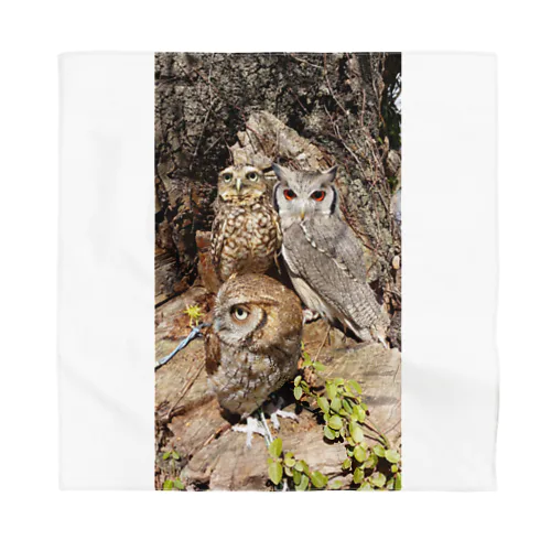 OWL 　JAPAN Bandana