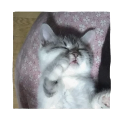 おねむの時間 猫の音羽ちゃん 縦バージョン Bandana