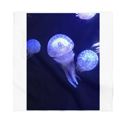 クラゲ1 Bandana