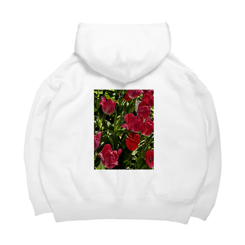 散歩中に見つけた花 Big Hoodie