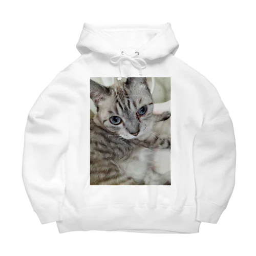 フッワフワのシャムミックス Big Hoodie