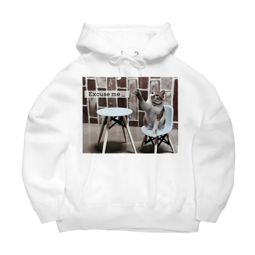 Excuse me … Big Hoodie