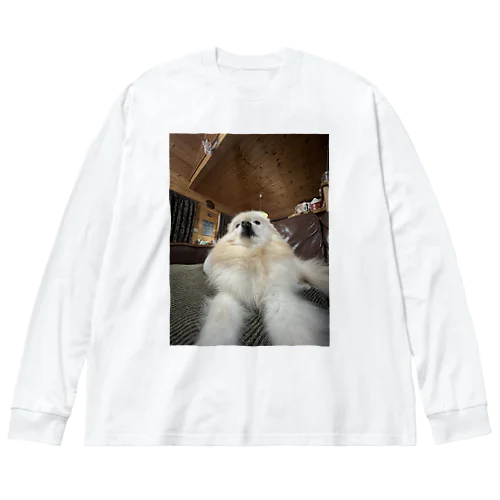 福(9歳)(ドヤ) Big Long Sleeve T-Shirt