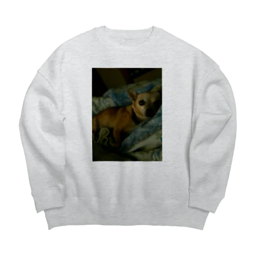 ポコ Big Crew Neck Sweatshirt