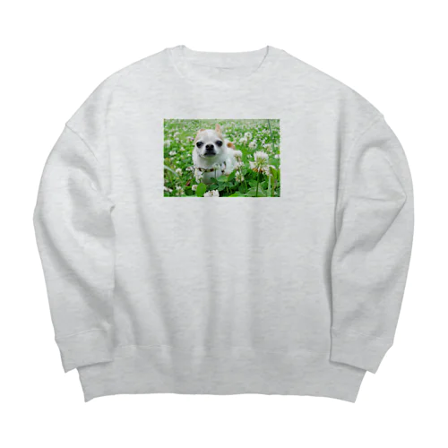 カラフルチワワ（クローバー） Big Crew Neck Sweatshirt
