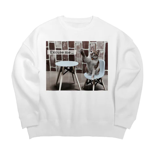 Excuse me … Big Crew Neck Sweatshirt